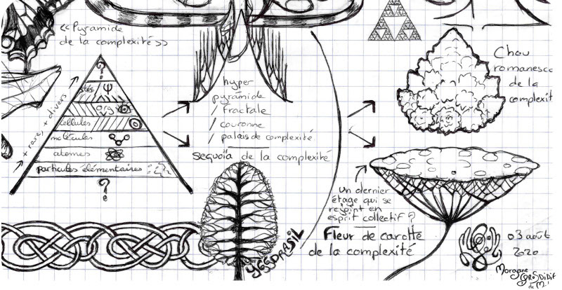 arbre-complexite