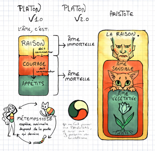 schema-platon-aristote-blog