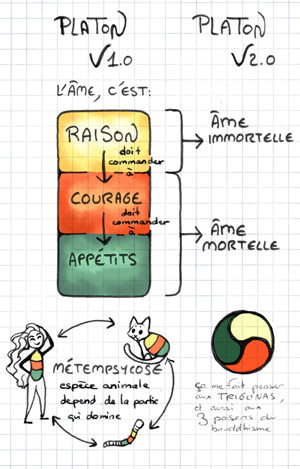 schema-platon-blog